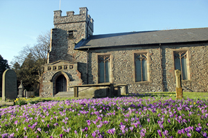 Pennington Church #