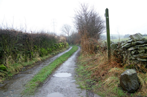 old Lane from Lindal #